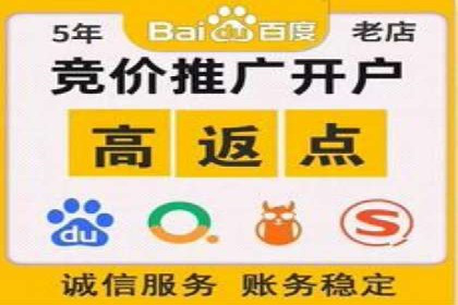 实战经验：SEM网络推广打造行业领军品牌